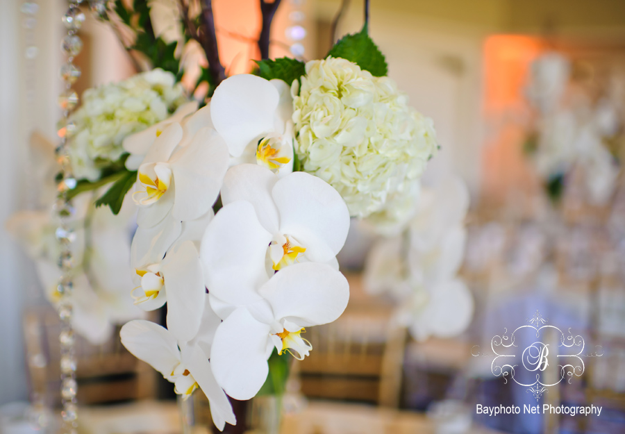 O G Silver Creek Valley Country Club Wedding Bayphoto Net